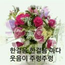 김인숙 농장 이미지