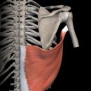 더드림PT 이미지