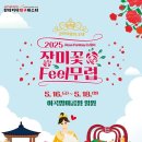 장미의거리9 이미지