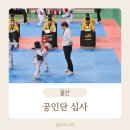 동성태권도장 | 울산 태권도 공인단 심사 후기(feat. 주의사항)