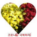 대가잔치국수 이미지