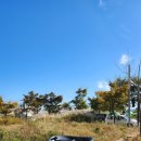 더벤티(울산강동산하점)