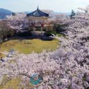 예양공원 이미지