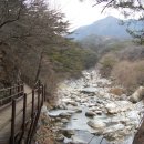 지금가야산 이미지