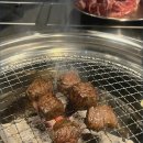 프라임바이브 | 온천장맛집 소꼬집에서 프라임등급 깍둑소고기 먹고 바이브 미쳤던 후기