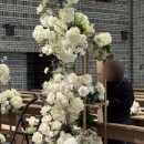 논현2동-11 이미지