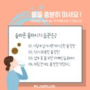 플랜플러스 이미지