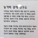 능가비 이미지