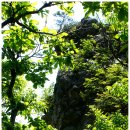 18.5/13 전남 구례 계족산(705m) 화창한 봄 날씨 속에 (봉산산악회) 이미지