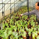 신구농장 이미지