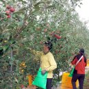 기산축산 이미지