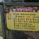 당골농장 | 강릉정동진 쌍둥이 동물농장 사장님 방문 후기