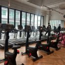 더헬스 앤 피티 이미지