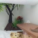 코니사진관 이미지