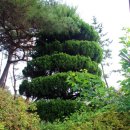 사천(순천)휴게소 이미지