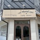 무드130 | 파주 운정 애견동반 카페 무드130 내돈내산 후기