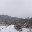 고요히