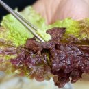 하나로한우촌 | 강원도 정선맛집 찾다가 발견한 누리한우촌 후기