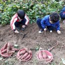 청사초롱마을 이미지