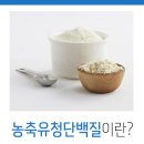 유청식품
