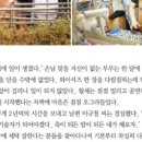 아크로명품세탁 이미지
