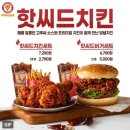 파파이스 이미지