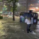 강남-234 이미지