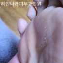 하얀나라피부과의원 이미지