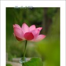 달콤한 오후 이미지