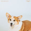 노블스튜디오 - 달서구 와룡로 124 | 노블스튜디오