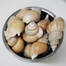 딜리버리 팜