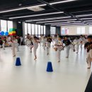 화성남양 MTA태권도장 이미지