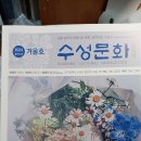 1954년 옛 대흥동 모습 / 2024년 겨울호(통권74호) 이미지