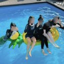 877 스테이 이미지