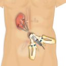 서울삼성비뇨기과 이미지