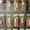 대보명가 이미지