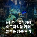 블루문 | [남양주 수족관 카페] 경기도 남양주 아쿠아리움 카페 블루문 솔직 후기