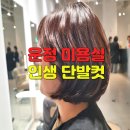 지오 | 운정 미용실 이가자X엘피지오 스타필드점 단발 레이어드컷 미니 디자이너 감동 후기