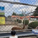 곰두마리농장 | 강릉 가볼만한곳 강릉 쌍둥이동물농장 세돌 아기랑 강원도여행