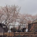 범바위 | 범바위 캠핑장 벚꽃캠핑 후기 -벚꽃 명당, 시설, 놀이방