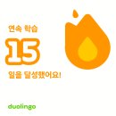 100 현지 영상으로 배우는 기초 패턴 일본어 (3) | [공지] [JLPT N4] D-167 l 듀오링고는 JLPT 시험에 도움이 될까? 듀오링고로 일본어 공부해보기