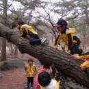 하늘숲어린이집 이미지