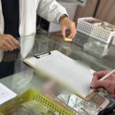 인천유선 | 4월 봄 쭈꾸미 낚시 업체 추천 인천 배낚시 국제유선 후기 간식/준비물/대여료