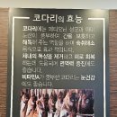 백덕장 코다리 수영본점 이미지