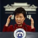 먹개비 이미지