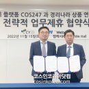 화장품나라 - 포항시 남구 중앙로77번길 5-6 | 화장품나라