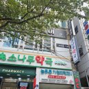 소나무약국 | 내외동맛집 김해오마카세 김해룸식당 도도일식 런치 스시 오마카세 식사 후기