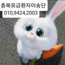 주식회사 충북응급환자이송단 이미지