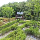 대청호 자연수변공원 이미지