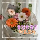 불당32길11 | 불당동 꽃집 무인픽업 가능 기념일 꽃다발 추천 하트모아